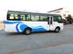 I bus facenti un giro turistico bianchi e blu della stella guida a destra/di sinistra trasportano il passeggero turistico fornitore
